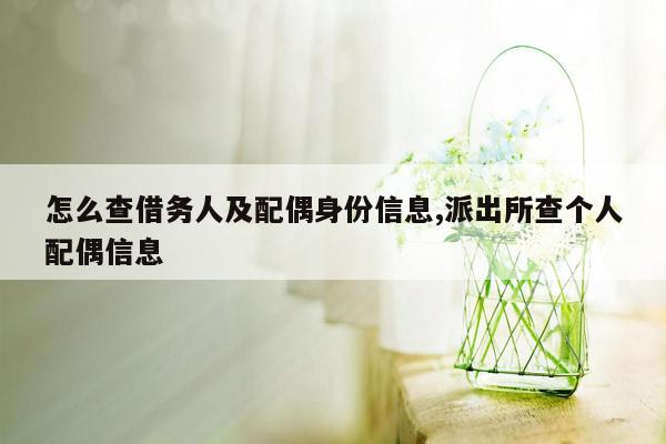 怎么查借务人及配偶身份信息,派出所查个人配偶信息