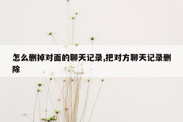 怎么删掉对面的聊天记录,把对方聊天记录删除