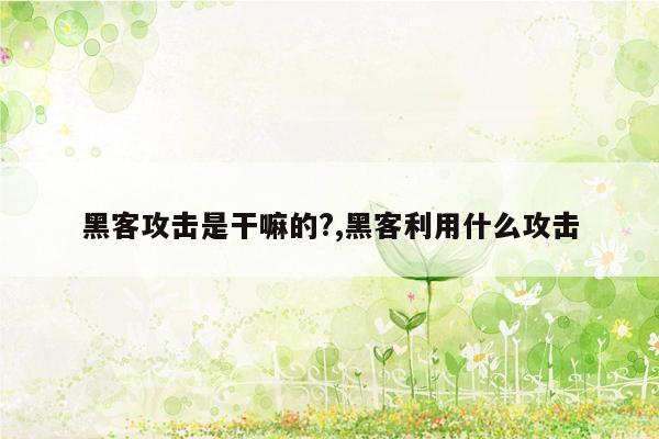 黑客攻击是干嘛的?,黑客利用什么攻击