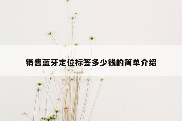 销售蓝牙定位标签多少钱的简单介绍