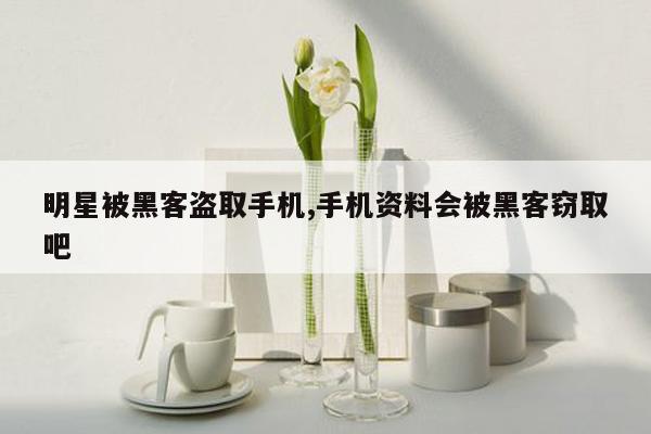 明星被黑客盗取手机,手机资料会被黑客窃取吧