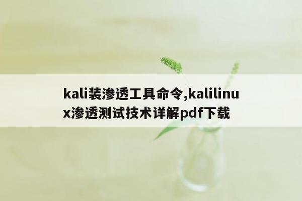 kali装渗透工具命令,kalilinux渗透测试技术详解pdf下载