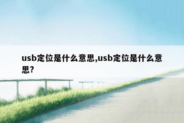 usb定位是什么意思,usb定位是什么意思?