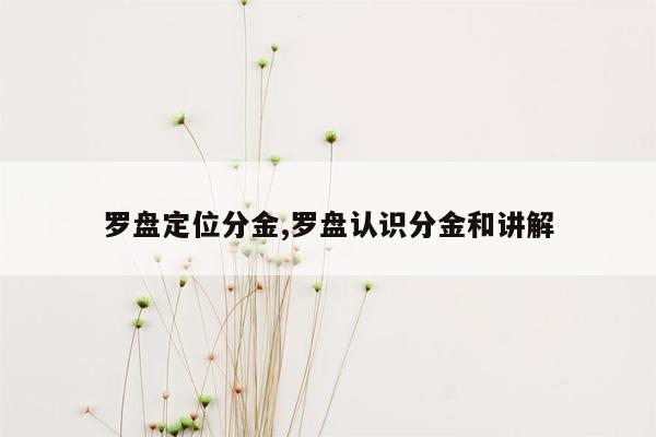 罗盘定位分金,罗盘认识分金和讲解