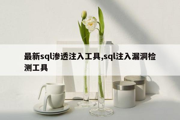 最新sql渗透注入工具,sql注入漏洞检测工具