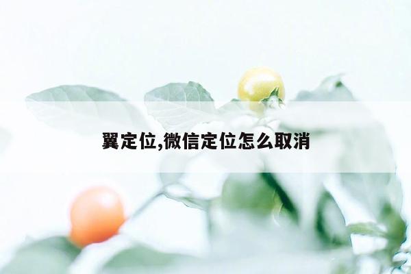 翼定位,微信定位怎么取消