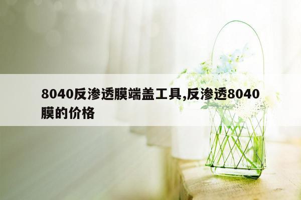 8040反渗透膜端盖工具,反渗透8040膜的价格