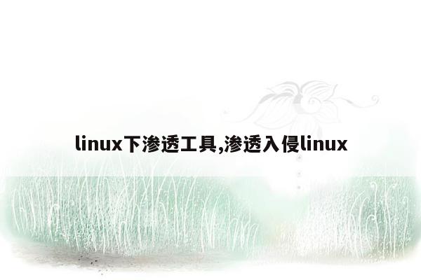 linux下渗透工具,渗透入侵linux