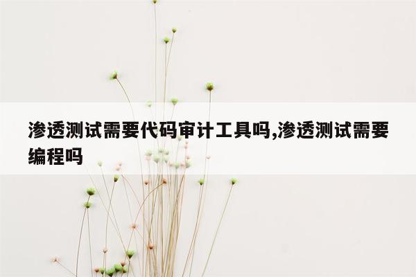 渗透测试需要代码审计工具吗,渗透测试需要编程吗