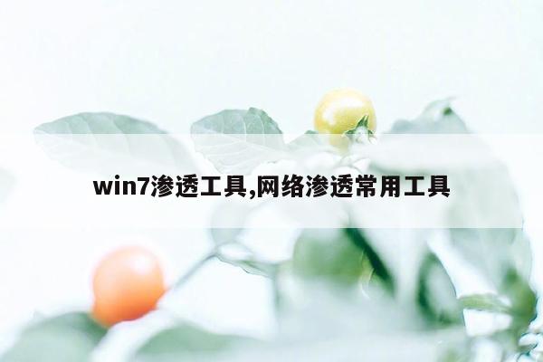 win7渗透工具,网络渗透常用工具