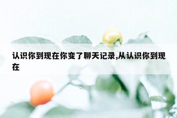 认识你到现在你变了聊天记录,从认识你到现在