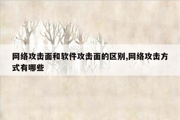 网络攻击面和软件攻击面的区别,网络攻击方式有哪些