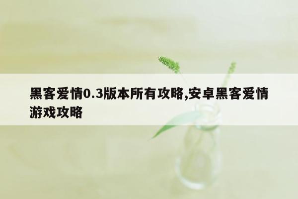 黑客爱情0.3版本所有攻略,安卓黑客爱情游戏攻略