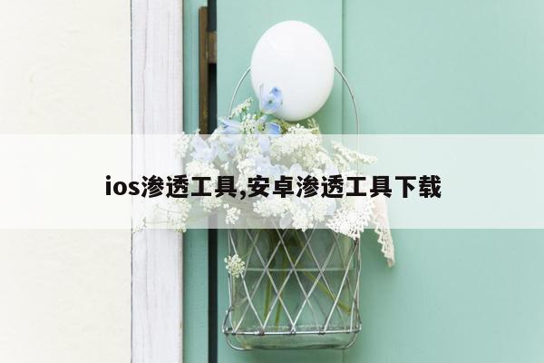 ios渗透工具,安卓渗透工具下载