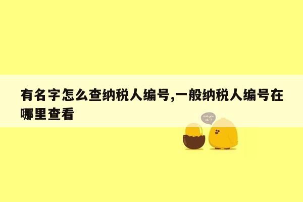 有名字怎么查纳税人编号,一般纳税人编号在哪里查看