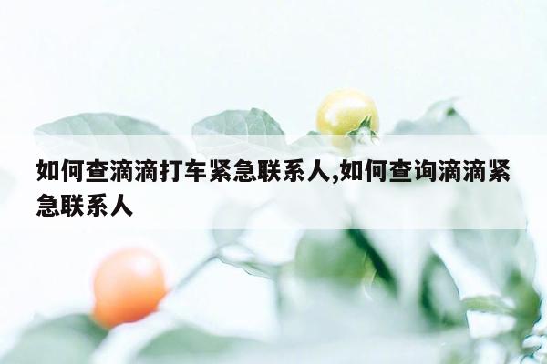 如何查滴滴打车紧急联系人,如何查询滴滴紧急联系人