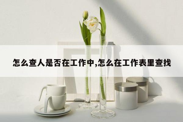 怎么查人是否在工作中,怎么在工作表里查找