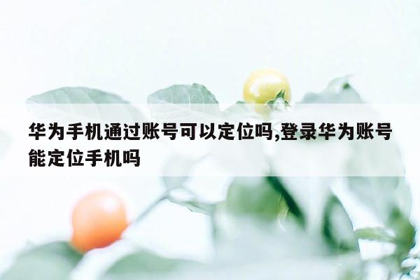 华为手机通过账号可以定位吗,登录华为账号能定位手机吗