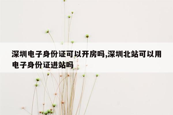 深圳电子身份证可以开房吗,深圳北站可以用电子身份证进站吗