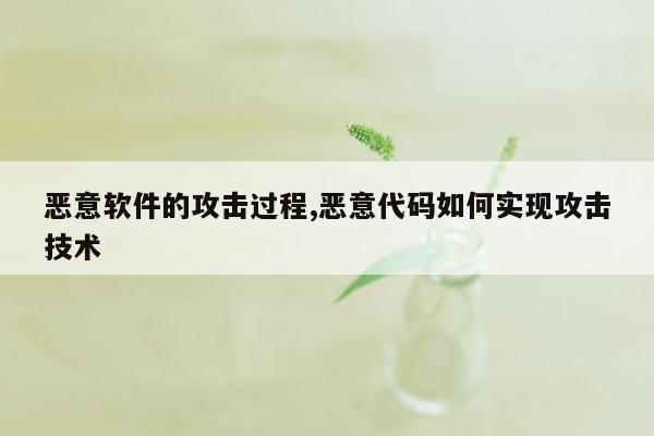 恶意软件的攻击过程,恶意代码如何实现攻击技术