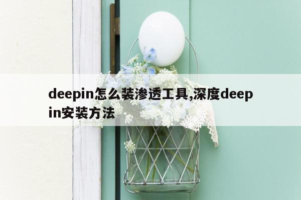 deepin怎么装渗透工具,深度deepin安装方法