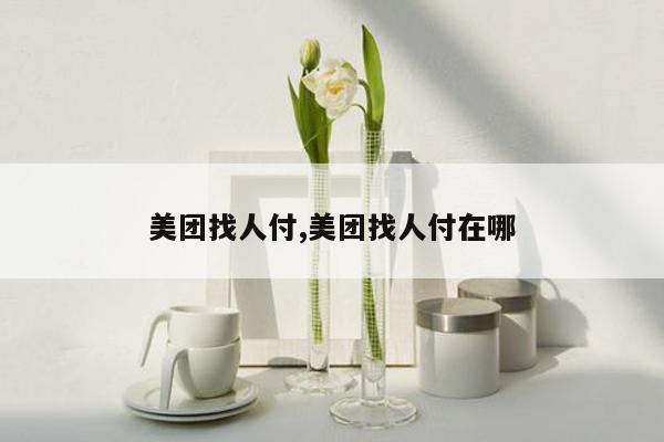 美团找人付,美团找人付在哪