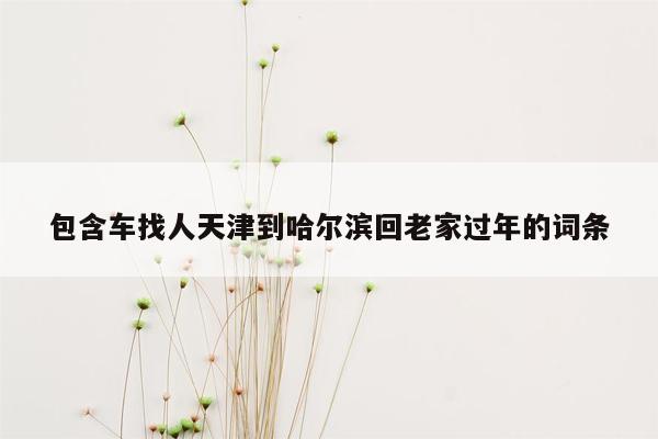 包含车找人天津到哈尔滨回老家过年的词条