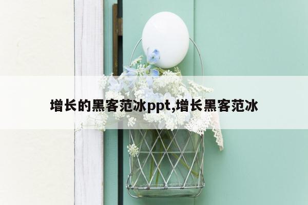 增长的黑客范冰ppt,增长黑客范冰