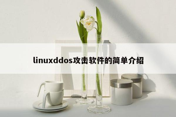 linuxddos攻击软件的简单介绍
