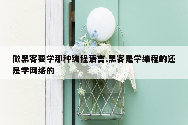 做黑客要学那种编程语言,黑客是学编程的还是学网络的