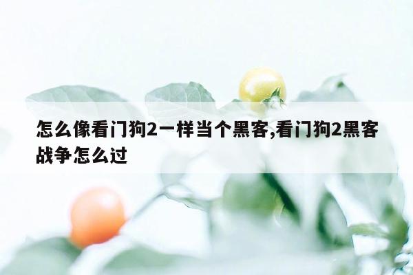 怎么像看门狗2一样当个黑客,看门狗2黑客战争怎么过