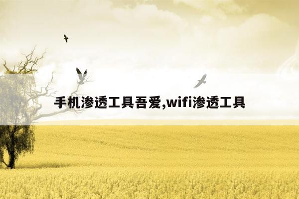 手机渗透工具吾爱,wifi渗透工具