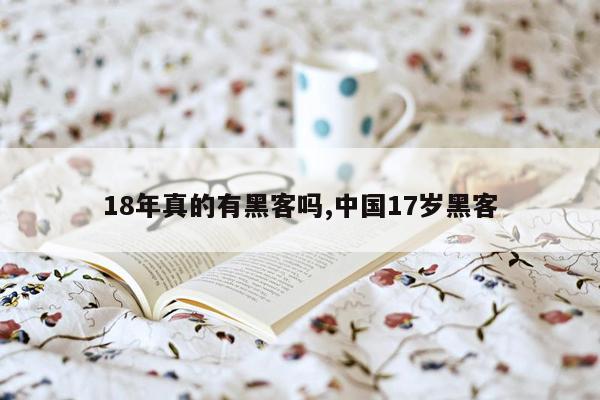 18年真的有黑客吗,中国17岁黑客