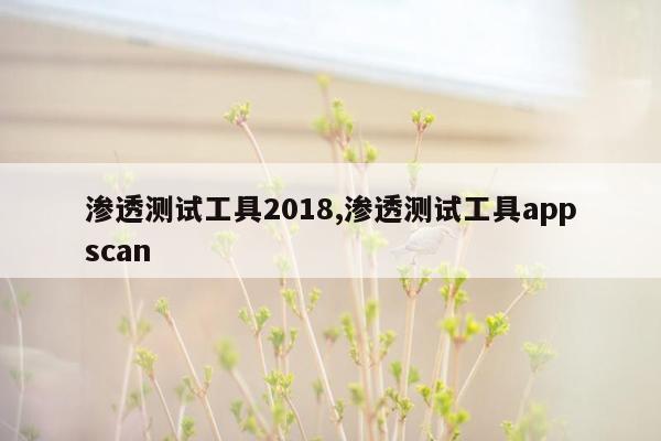 渗透测试工具2018,渗透测试工具appscan