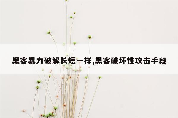 黑客暴力破解长短一样,黑客破坏性攻击手段