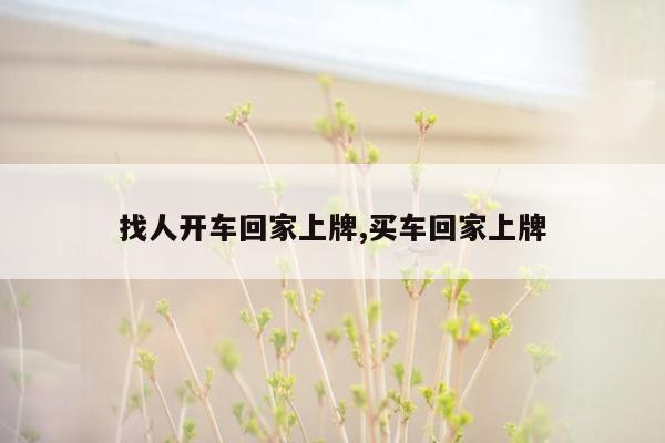 找人开车回家上牌,买车回家上牌