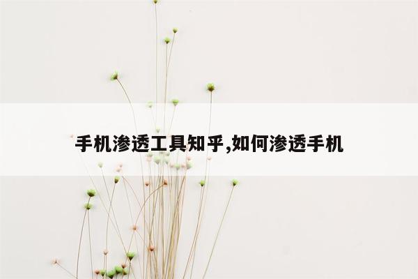 手机渗透工具知乎,如何渗透手机