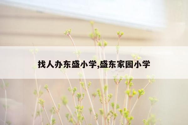 找人办东盛小学,盛东家园小学