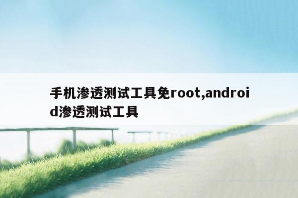 手机渗透测试工具免root,android渗透测试工具