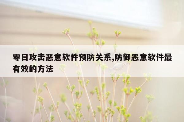 零日攻击恶意软件预防关系,防御恶意软件最有效的方法