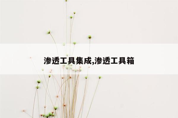 渗透工具集成,渗透工具箱