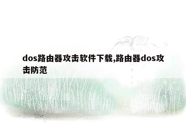 dos路由器攻击软件下载,路由器dos攻击防范