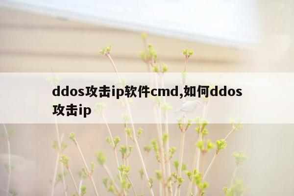 ddos攻击ip软件cmd,如何ddos攻击ip