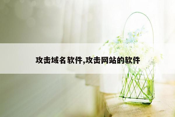 攻击域名软件,攻击网站的软件