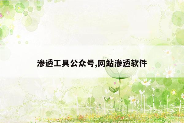 渗透工具公众号,网站渗透软件