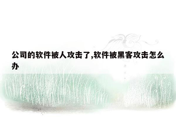 公司的软件被人攻击了,软件被黑客攻击怎么办