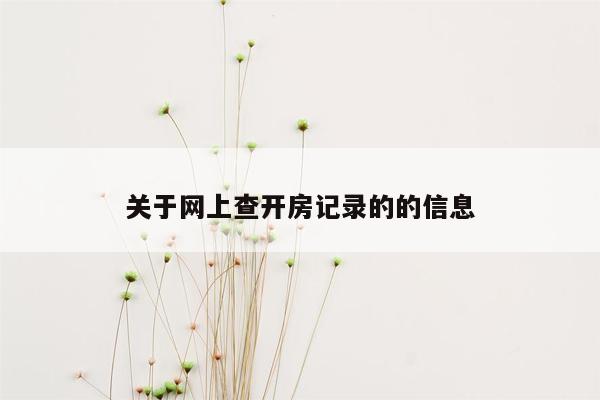 关于网上查开房记录的的信息