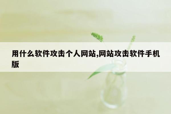 用什么软件攻击个人网站,网站攻击软件手机版