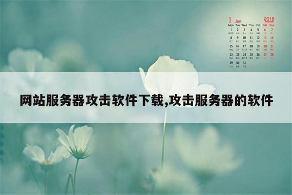 网站服务器攻击软件下载,攻击服务器的软件