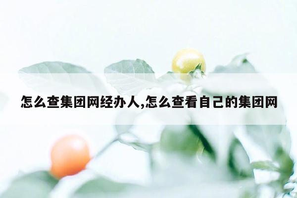 怎么查集团网经办人,怎么查看自己的集团网